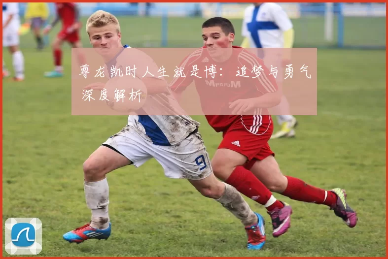 尊龙凯时人生就是博：追梦与勇气 深度解析