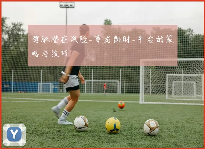 驾驭潜在风险_尊龙凯时_平台的策略与技巧