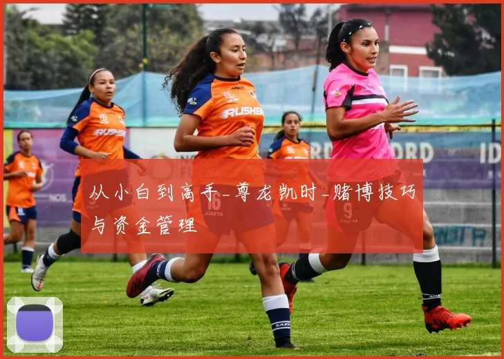 从小白到高手_尊龙凯时_赌博技巧与资金管理