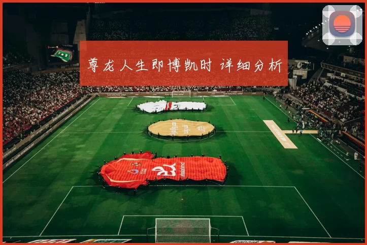 尊龙人生即博凯时 详细分析