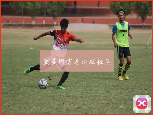 菠菜网官方论坛社区