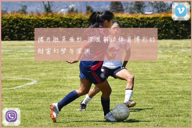 揭开胜负面纱_深度解读体育博彩的财富幻梦与深渊