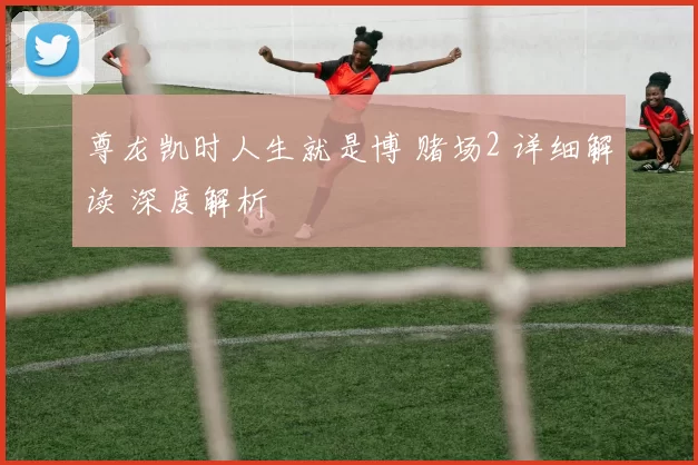 尊龙凯时人生就是博 赌场2 详细解读 深度解析