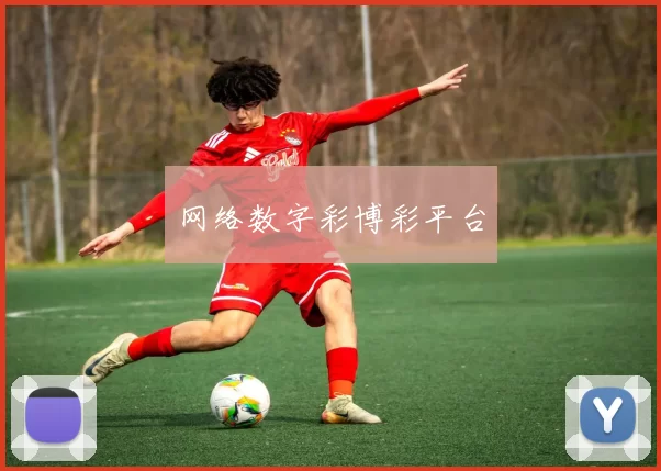 网络数字彩博彩平台