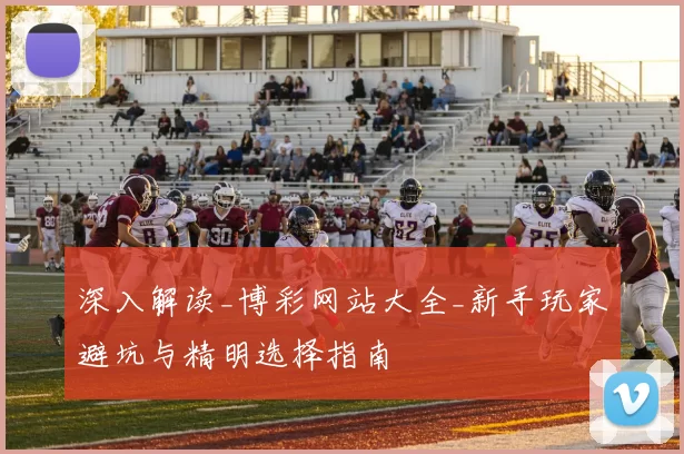 深入解读_博彩网站大全_新手玩家避坑与精明选择指南