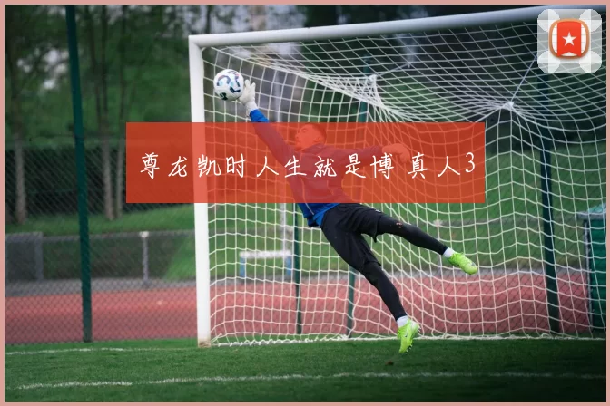 尊龙凯时人生就是博 真人3