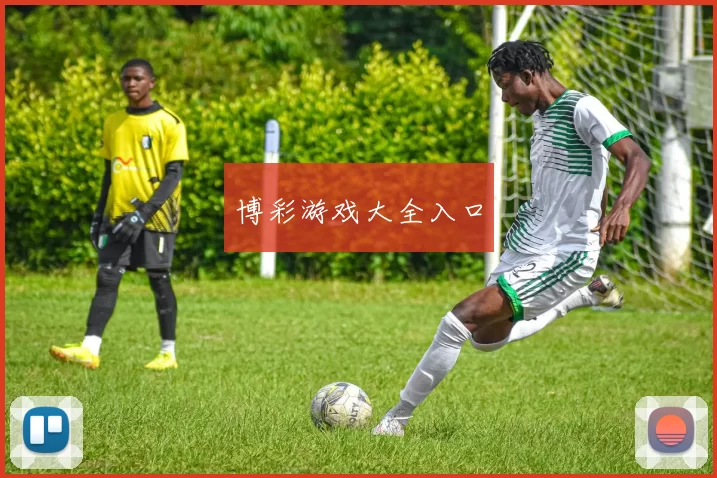 博彩游戏大全入口