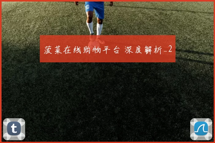 菠菜在线购物平台 深度解析_2
