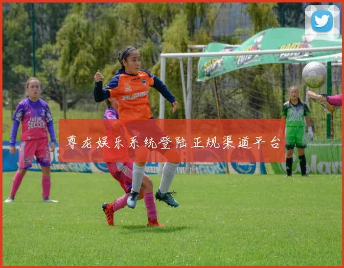 尊龙娱乐系统登陆正规渠道平台