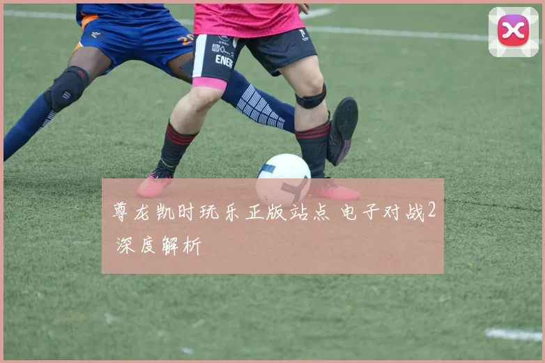 尊龙凯时玩乐正版站点 电子对战2 深度解析