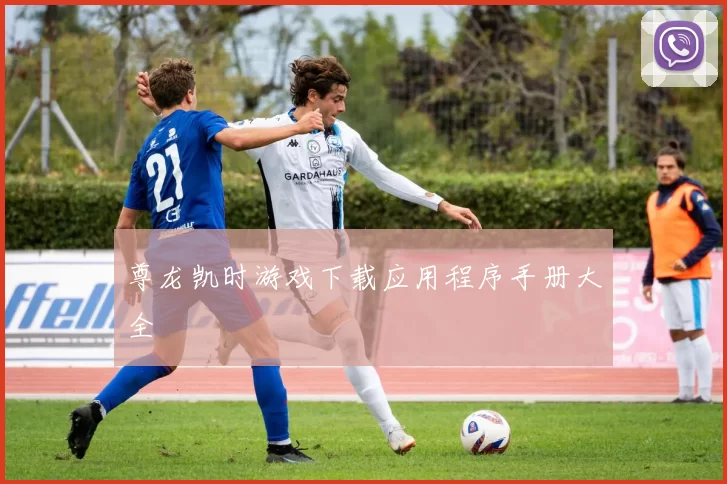 尊龙凯时游戏下载应用程序手册大全