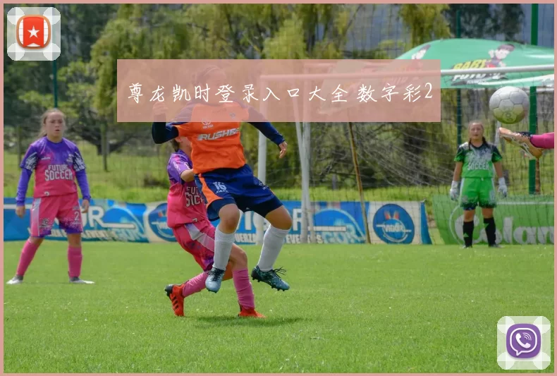 尊龙凯时登录入口大全 数字彩2