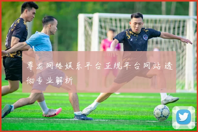 尊龙网络娱乐平台正规平台网站 透彻专业解析