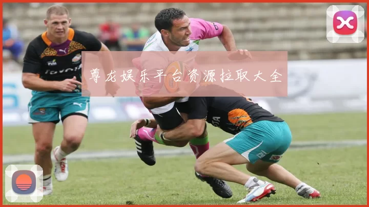 尊龙娱乐平台资源拉取大全