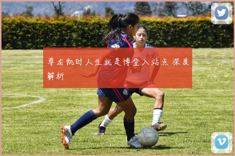 尊龙凯时人生就是博登入站点 深度解析
