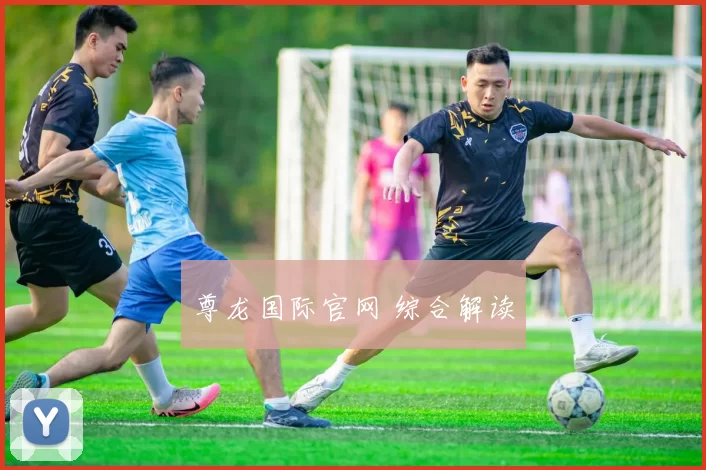 尊龙国际官网 综合解读