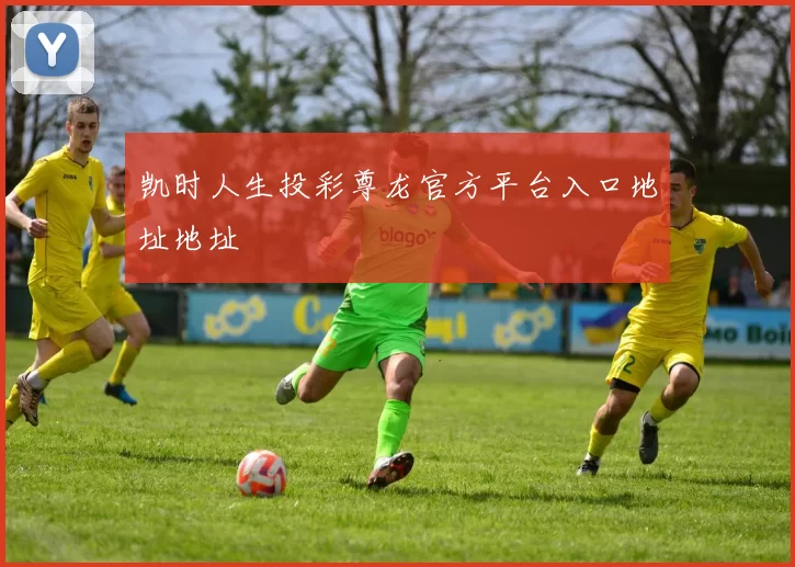 凯时人生投彩尊龙官方平台入口地址地址