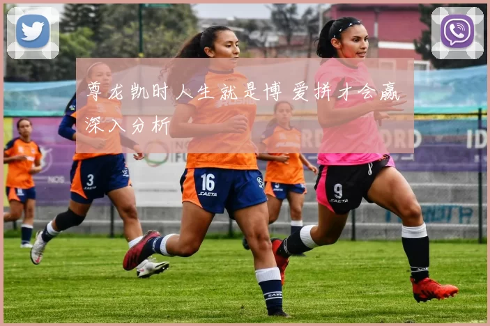 尊龙凯时人生就是博 爱拼才会赢 深入分析