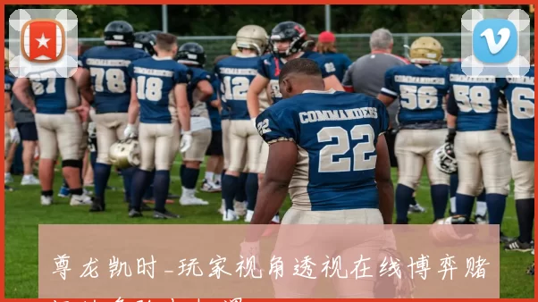 尊龙凯时_玩家视角透视在线博弈赌场的危险与机遇