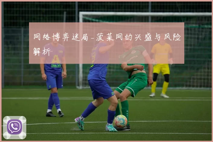 网络博弈迷局_菠菜网的兴盛与风险解析