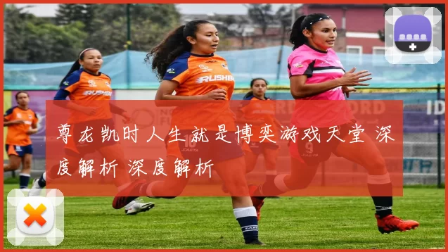 尊龙凯时人生就是博奕游戏天堂 深度解析 深度解析