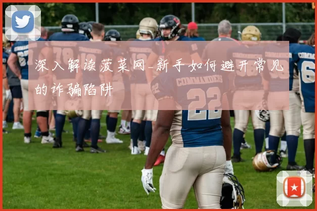 深入解读菠菜网_新手如何避开常见的诈骗陷阱