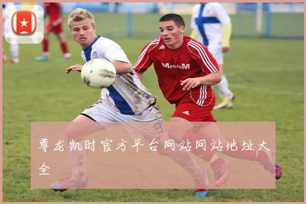 尊龙凯时官方平台网站网站地址大全