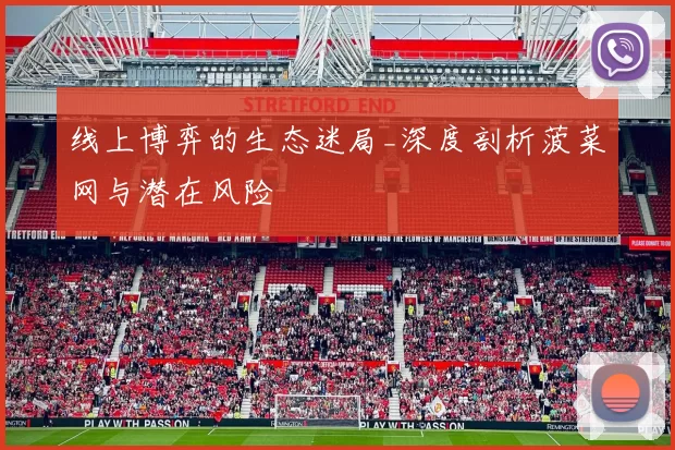线上博弈的生态迷局_深度剖析菠菜网与潜在风险