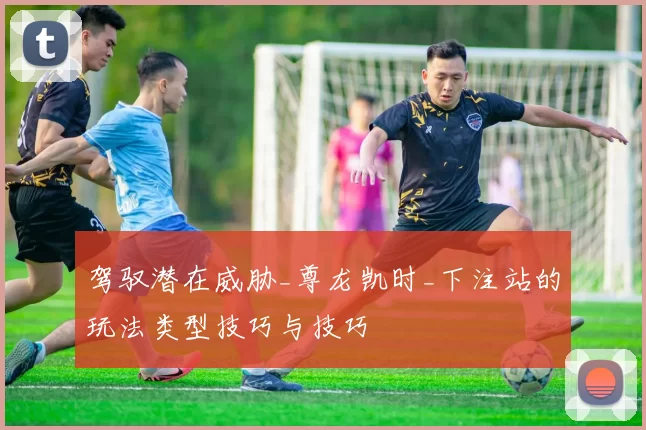 驾驭潜在威胁_尊龙凯时_下注站的玩法类型技巧与技巧