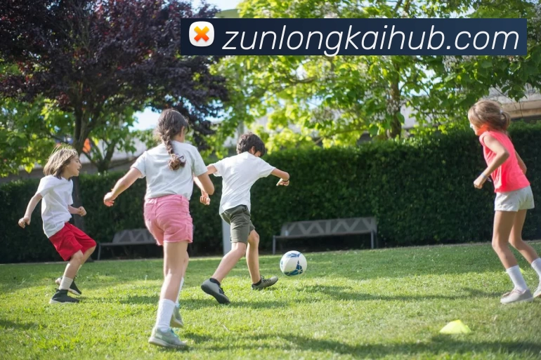 尊龙凯时人生就是搏品牌故事