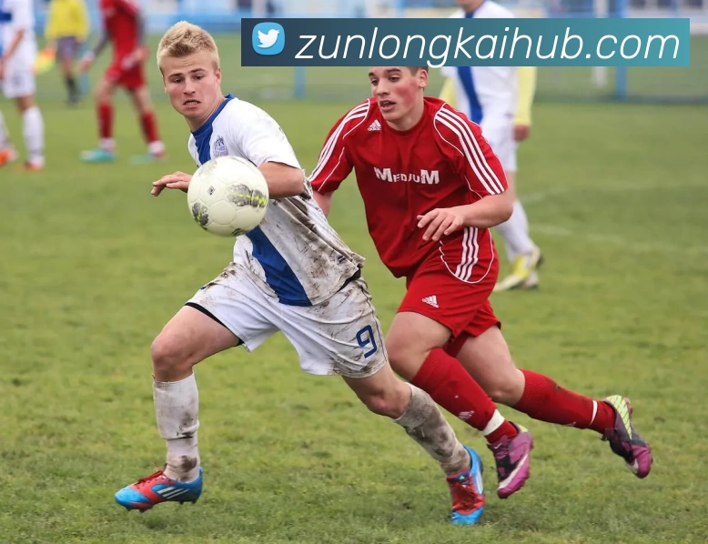 尊龙凯时人生就是搏服务体系